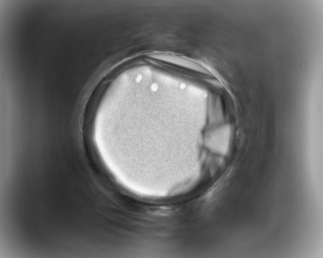 X0000088130151200706111413