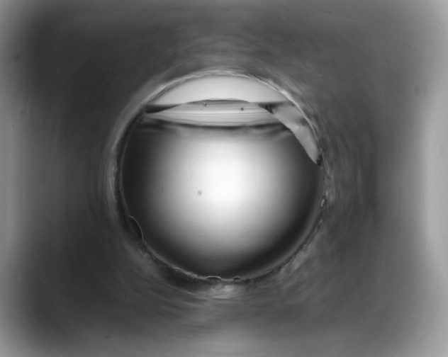 X0000088130152200706111413