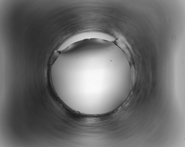 X0000088130154200706111413