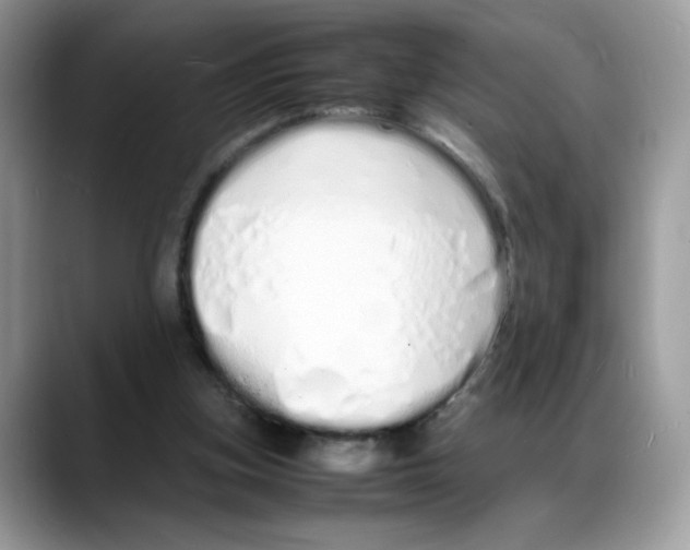 X0000088130155200706111413