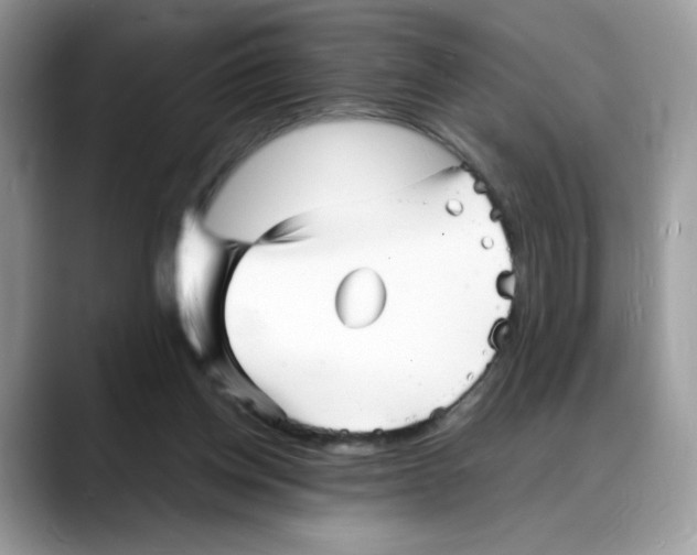 X0000088130158200706111413