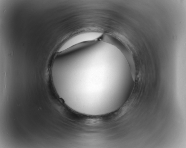 X0000088130160200706111413