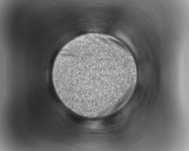 X0000088130161200706111413