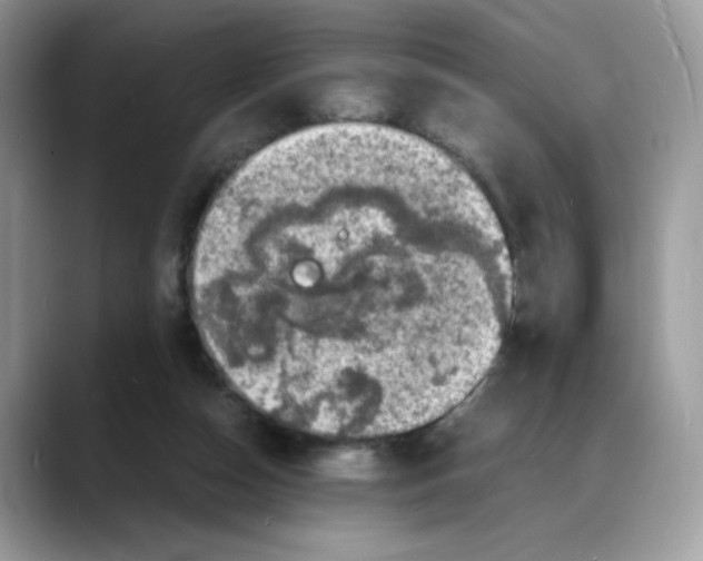 X0000088130162200706111413