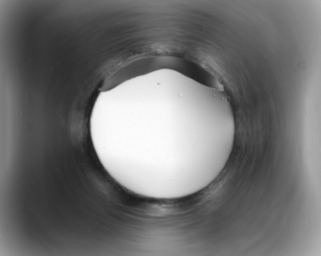 X0000088130164200706111413