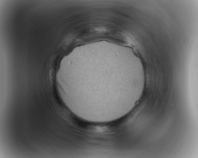 X0000088130165200706111413