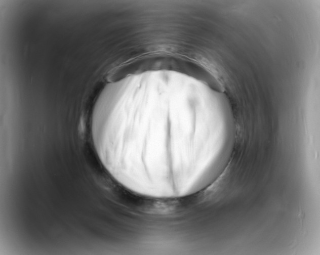 X0000088130166200706111413