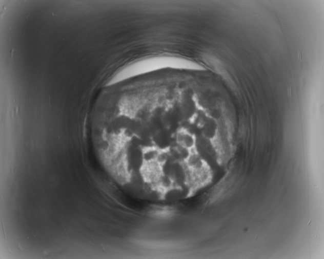 X0000088130167200706111414