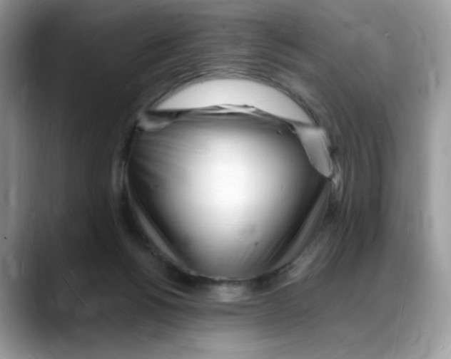 X0000088130168200706111414