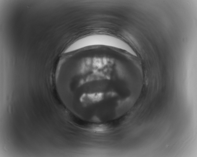 X0000088130169200706111414