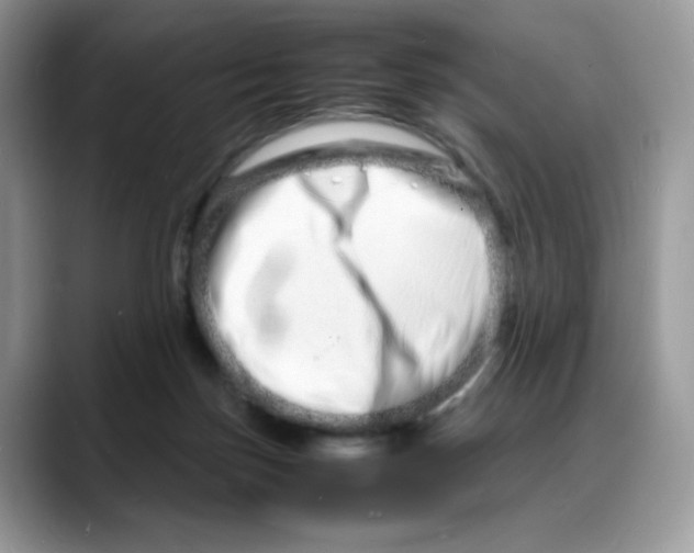 X0000088130171200706111414