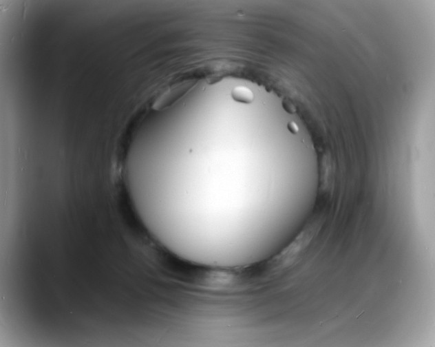 X0000088130176200706111414