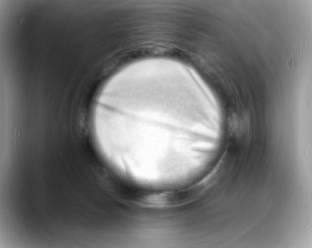 X0000088130178200706111414