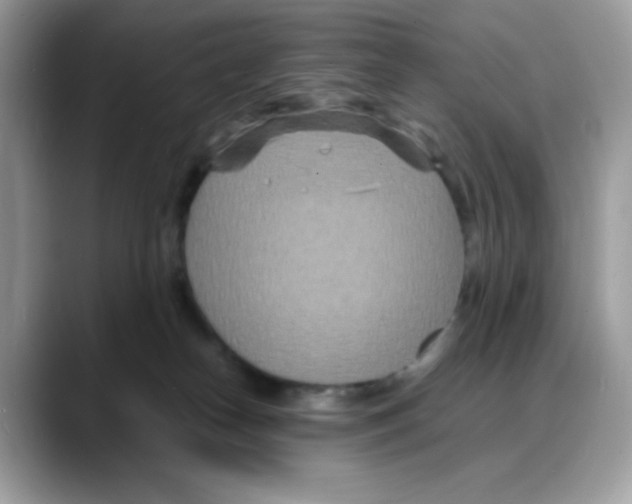 X0000088130182200706111414