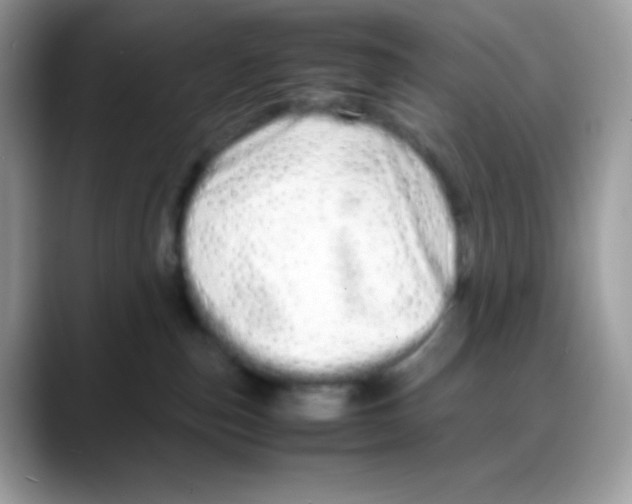 X0000088130187200706111414