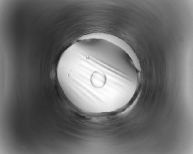 X0000088130190200706111414