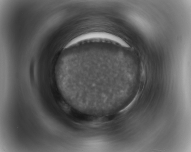 X0000088130191200706111414