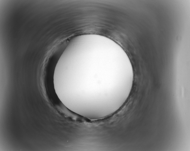 X0000088130193200706111413