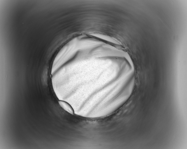 X0000088130194200706111413