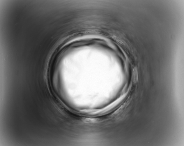 X0000088130195200706111413