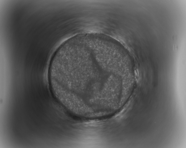 X0000088130196200706111413