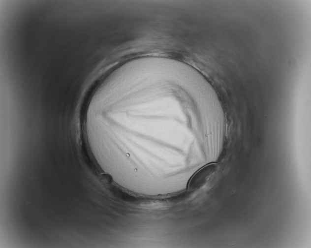 X0000088130198200706111413