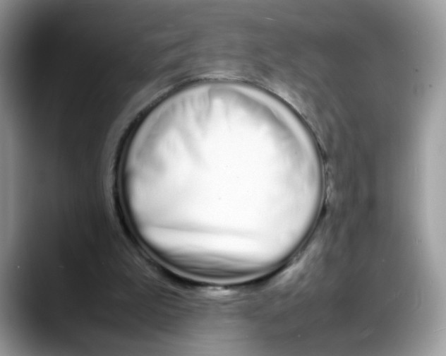 X0000088130199200706111413