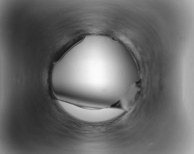 X0000088130201200706111413