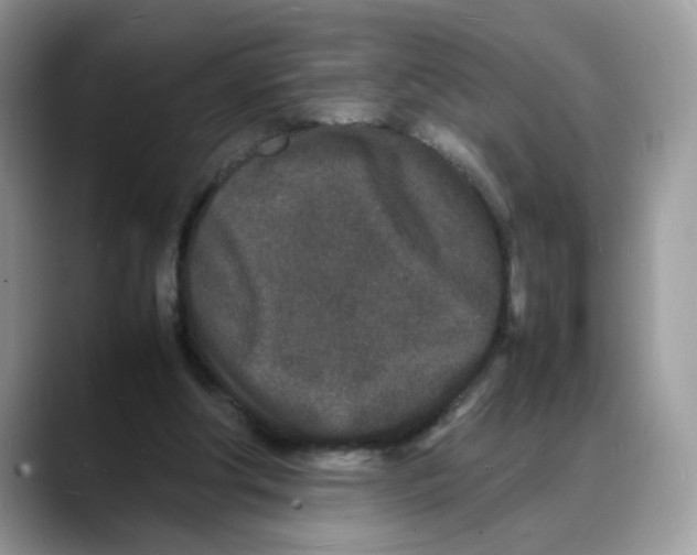 X0000088130202200706111413