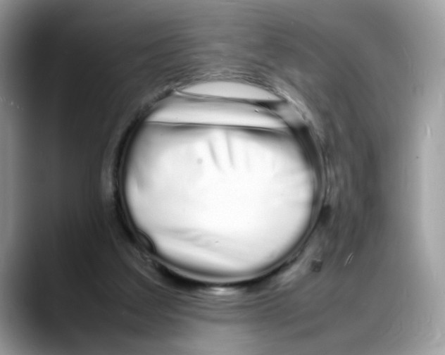 X0000088130203200706111413