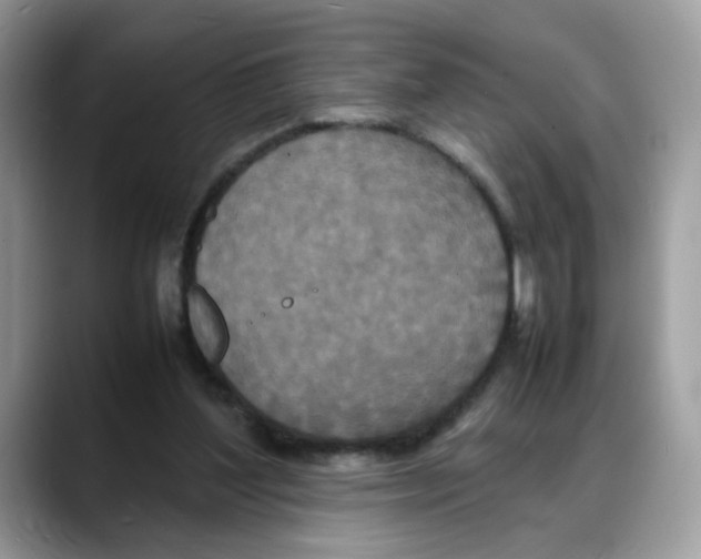 X0000088130204200706111413