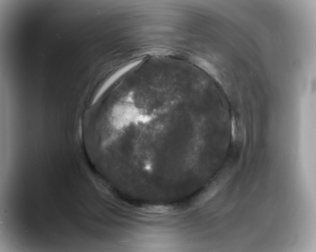 X0000088130205200706111413