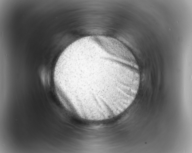 X0000088130206200706111413