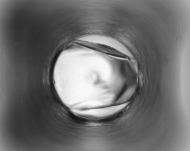 X0000088130207200706111413