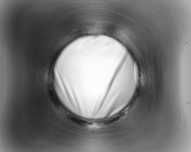 X0000088130208200706111413