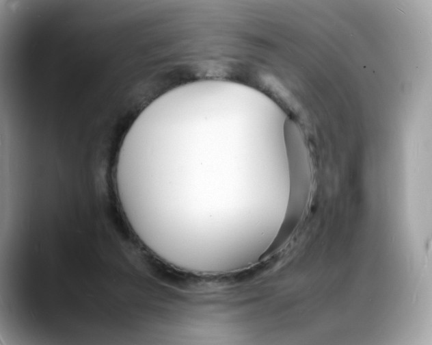 X0000088130209200706111413