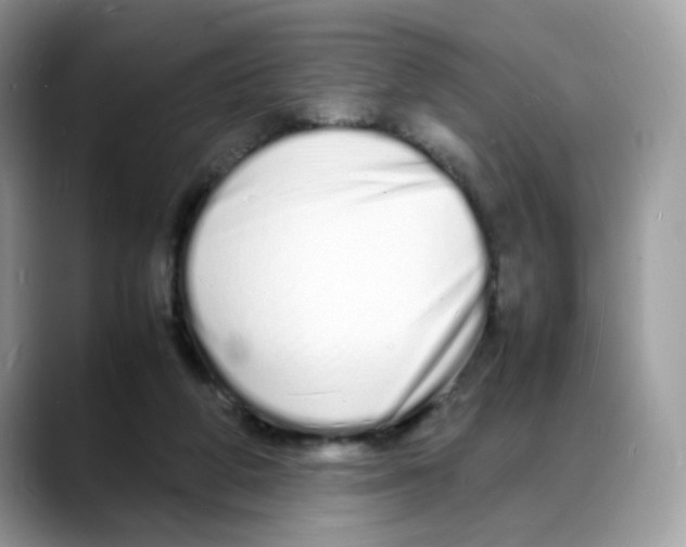 X0000088130210200706111413