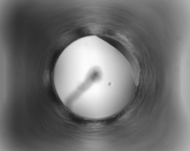 X0000088130213200706111413