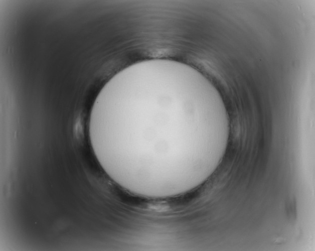 X0000088130214200706111413