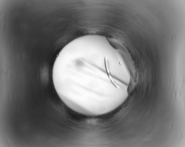 X0000088130216200706111413