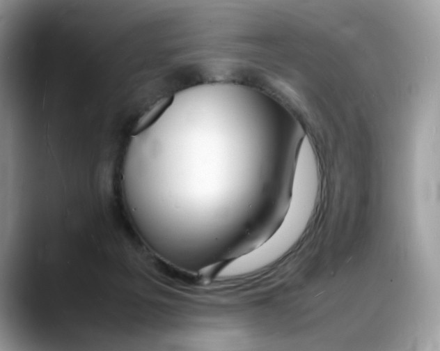 X0000088130217200706111413