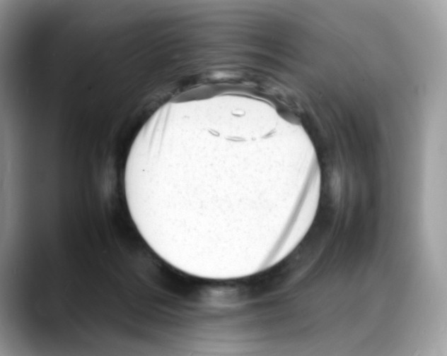 X0000088130220200706111413