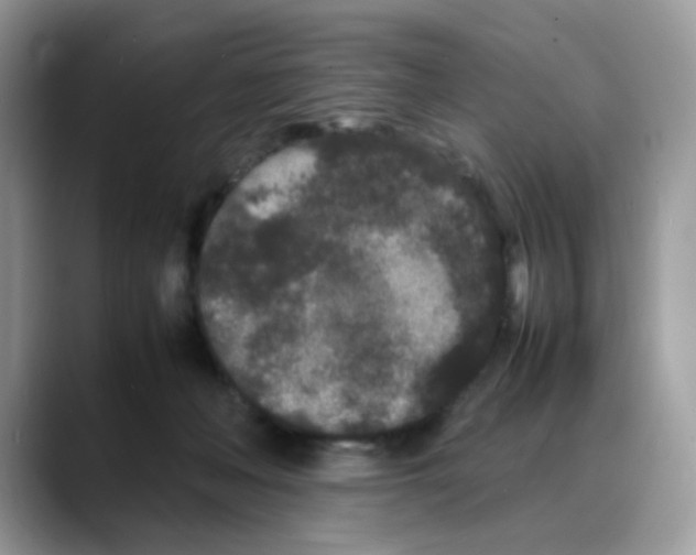 X0000088130222200706111413