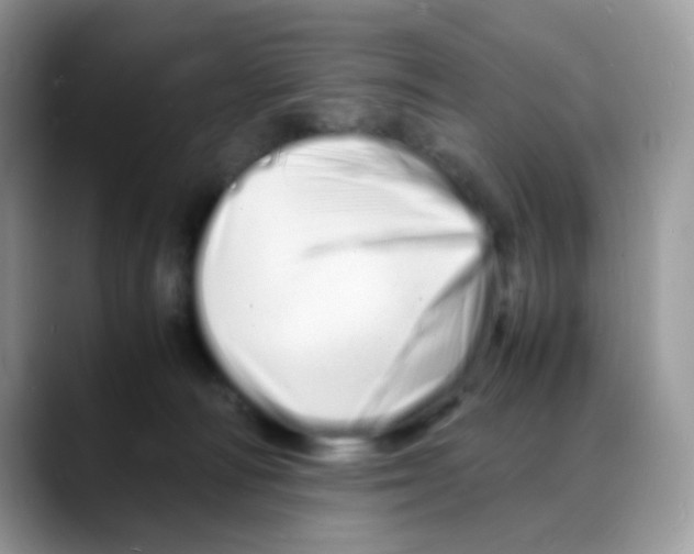 X0000088130226200706111413