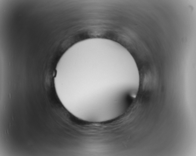 X0000088130227200706111413