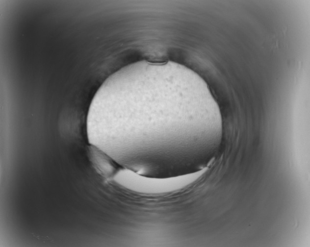 X0000088130229200706111413