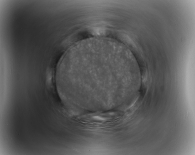 X0000088130233200706111413