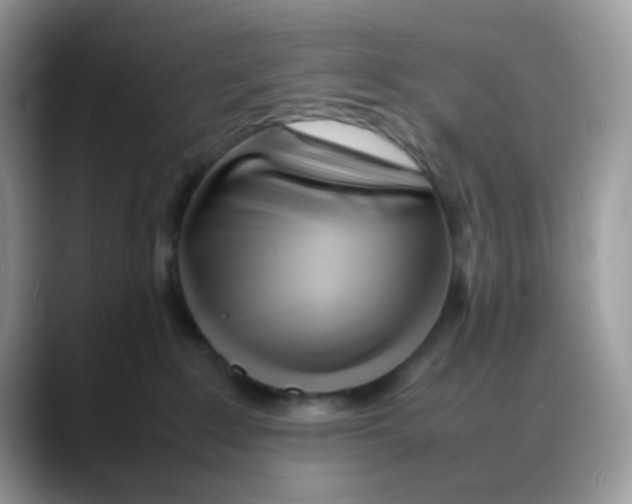 X0000088130235200706111413