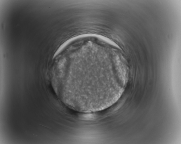 X0000088130237200706111413