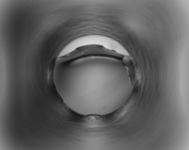 X0000088130239200706111413